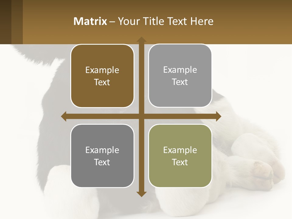 A Black And White Cow Laying Down On A White Background PowerPoint Template