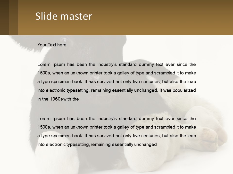 A Black And White Cow Laying Down On A White Background PowerPoint Template