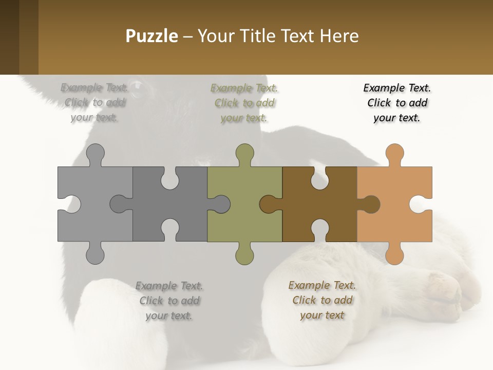 A Black And White Cow Laying Down On A White Background PowerPoint Template