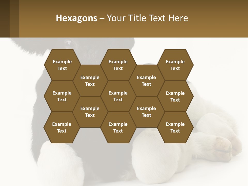 A Black And White Cow Laying Down On A White Background PowerPoint Template