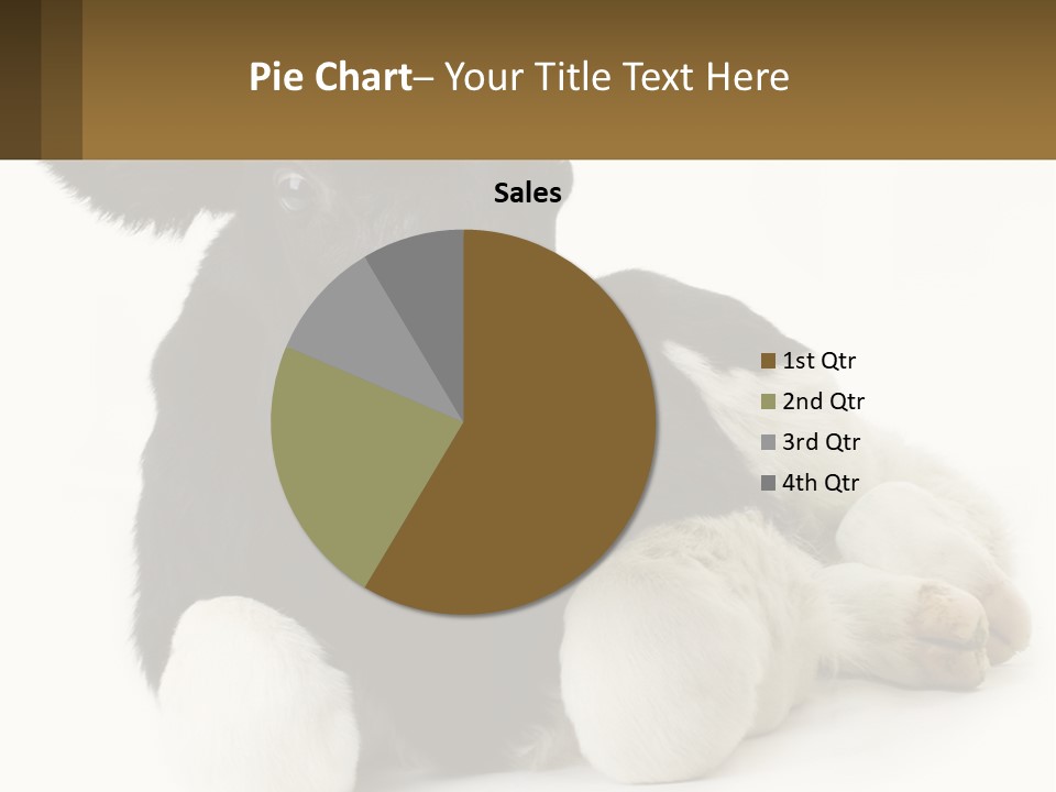 A Black And White Cow Laying Down On A White Background PowerPoint Template