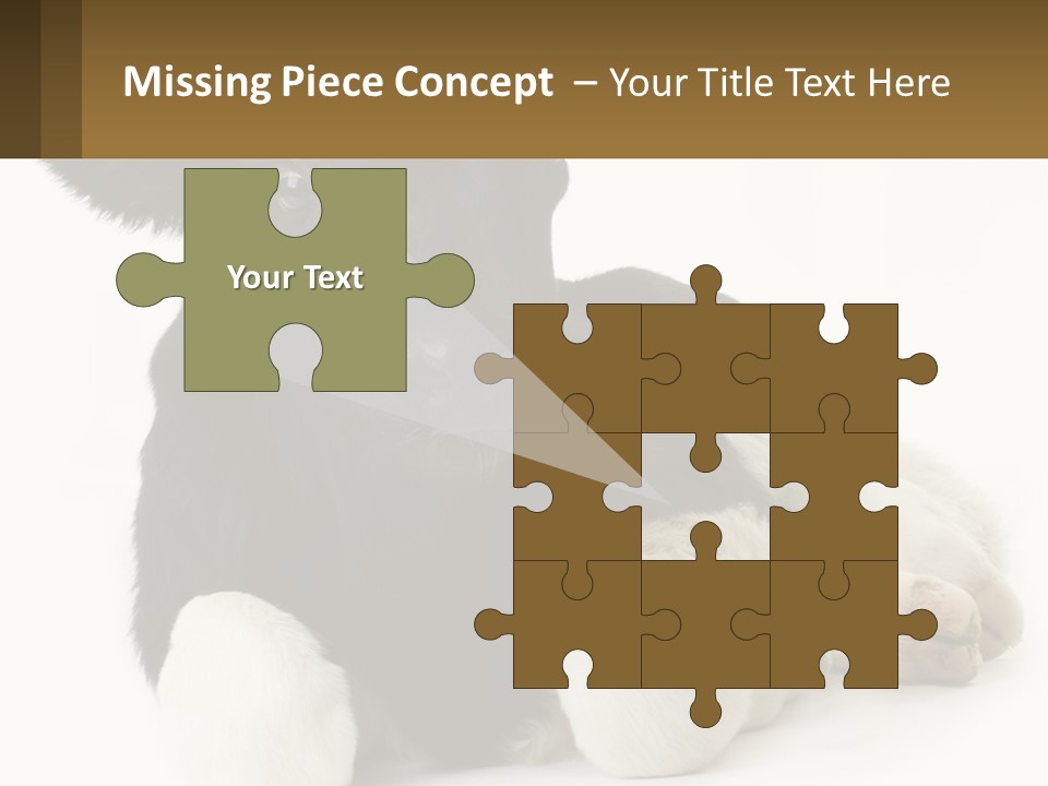 A Black And White Cow Laying Down On A White Background PowerPoint Template