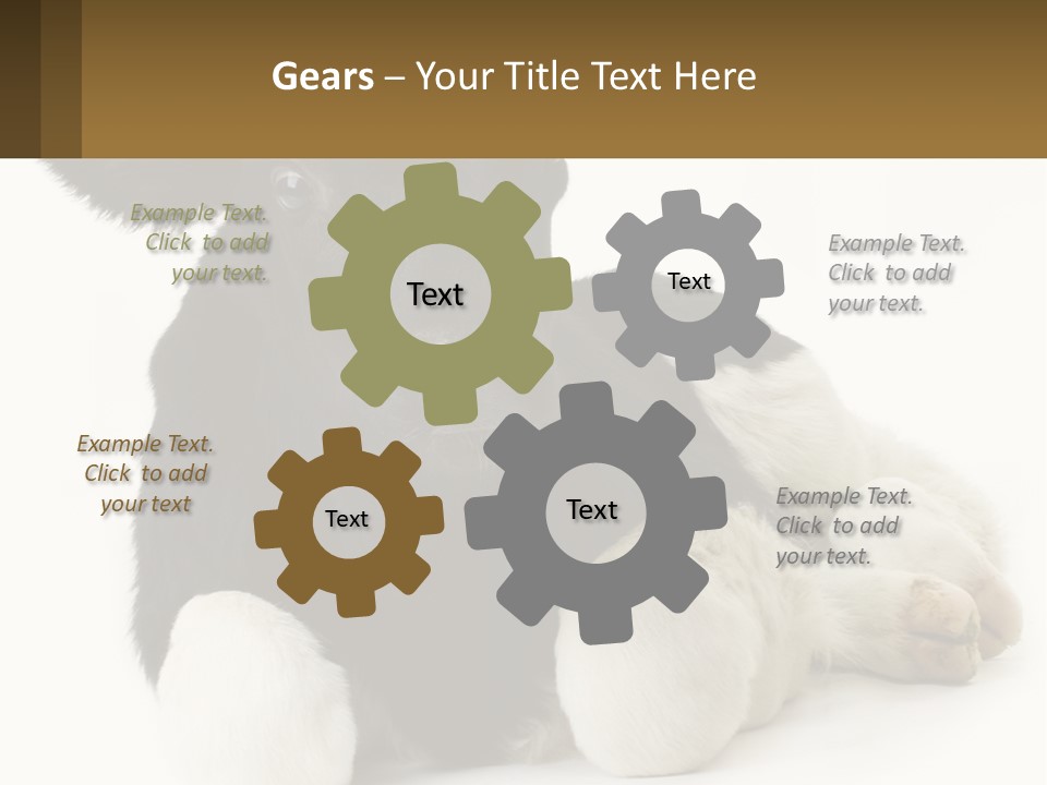 A Black And White Cow Laying Down On A White Background PowerPoint Template