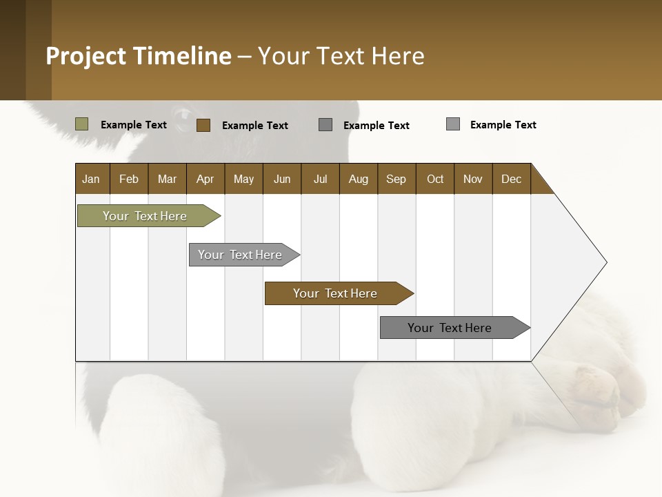 A Black And White Cow Laying Down On A White Background PowerPoint Template