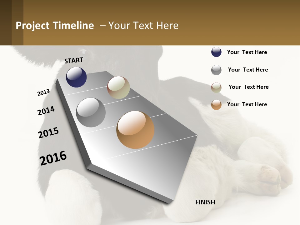 A Black And White Cow Laying Down On A White Background PowerPoint Template