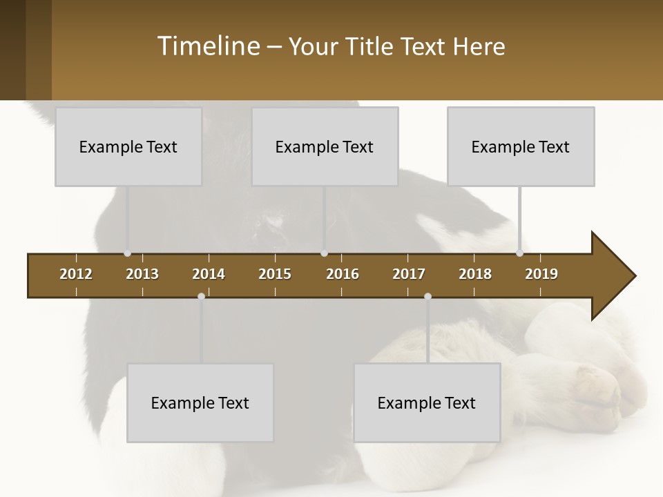 A Black And White Cow Laying Down On A White Background PowerPoint Template