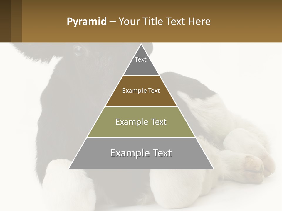 A Black And White Cow Laying Down On A White Background PowerPoint Template