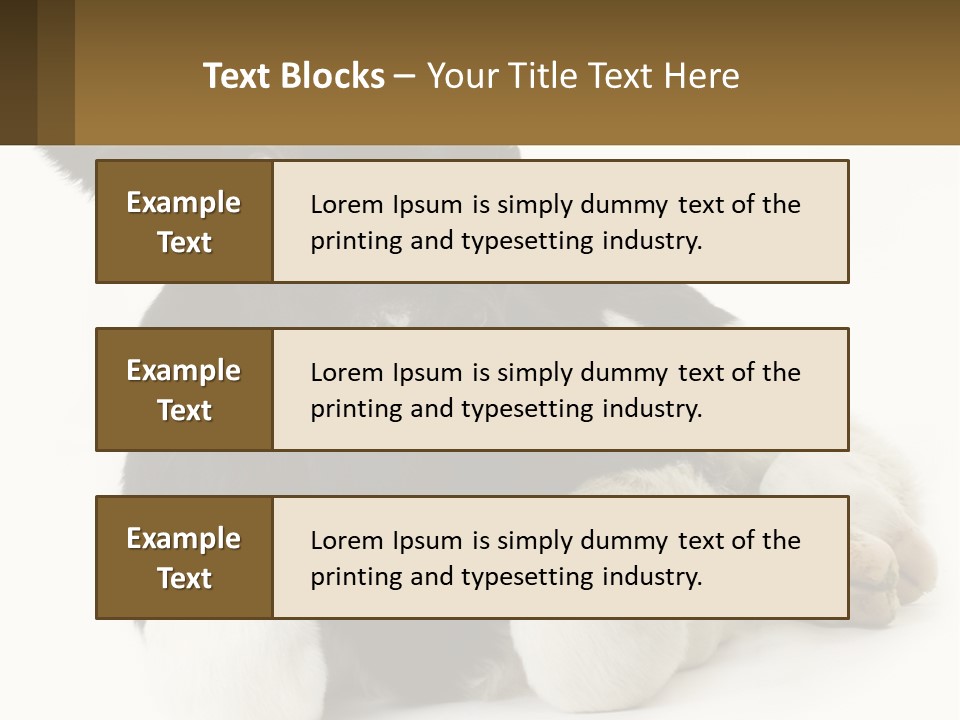 A Black And White Cow Laying Down On A White Background PowerPoint Template