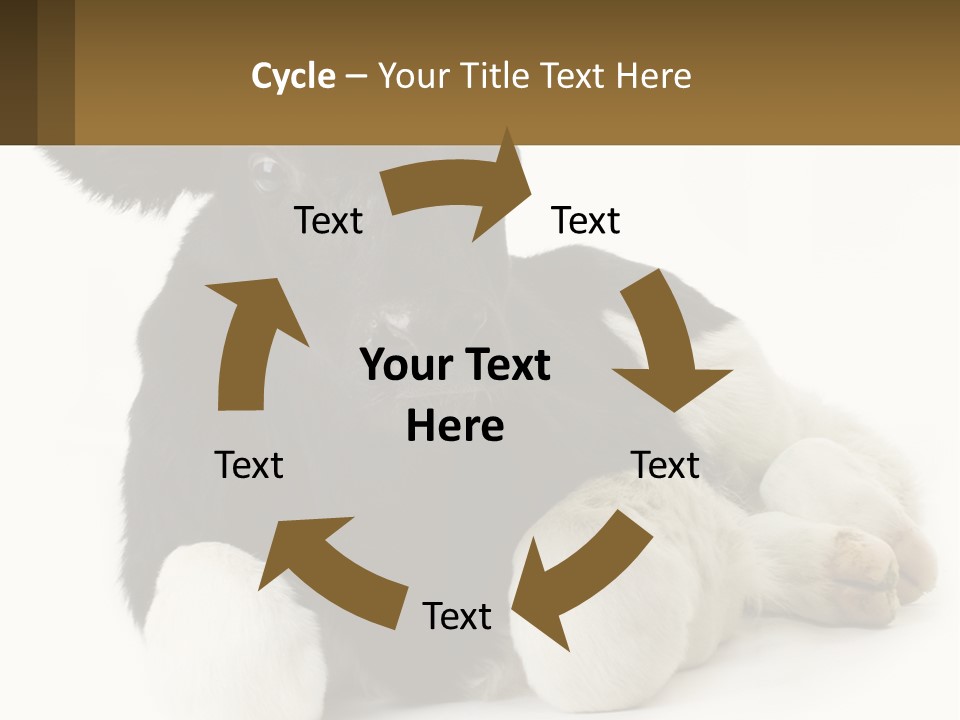 A Black And White Cow Laying Down On A White Background PowerPoint Template