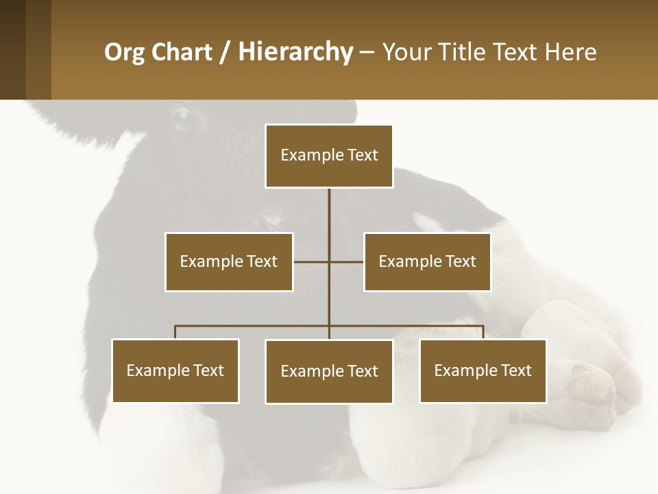 A Black And White Cow Laying Down On A White Background PowerPoint Template