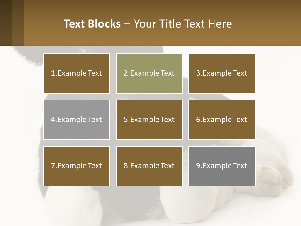 A Black And White Cow Laying Down On A White Background PowerPoint Template