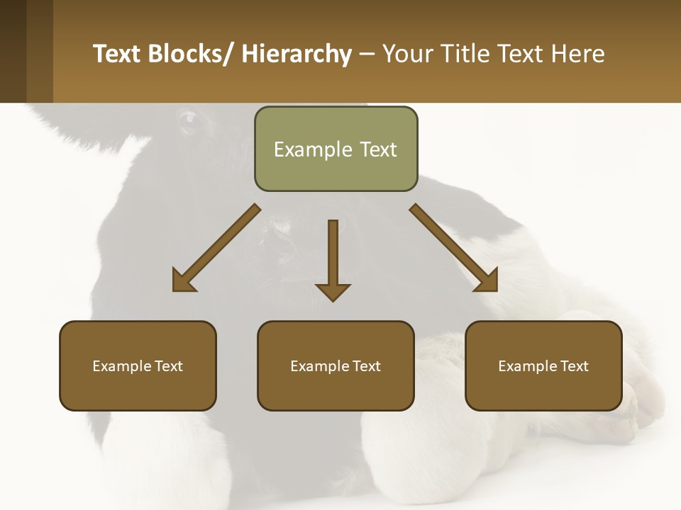 A Black And White Cow Laying Down On A White Background PowerPoint Template