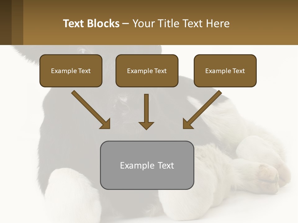A Black And White Cow Laying Down On A White Background PowerPoint Template