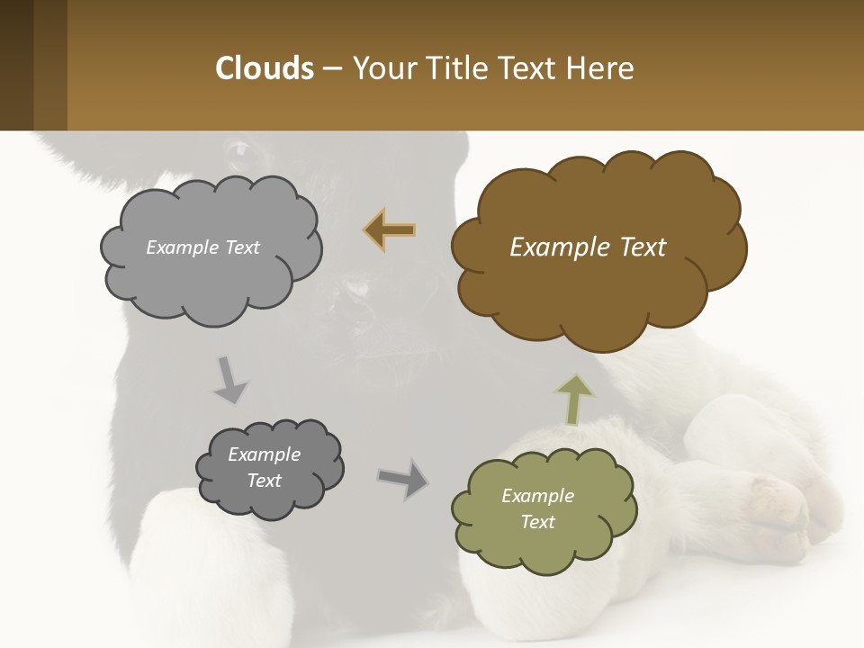 A Black And White Cow Laying Down On A White Background PowerPoint Template