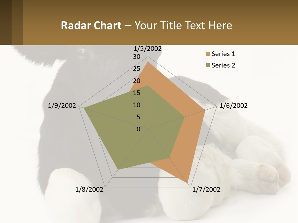 A Black And White Cow Laying Down On A White Background PowerPoint Template