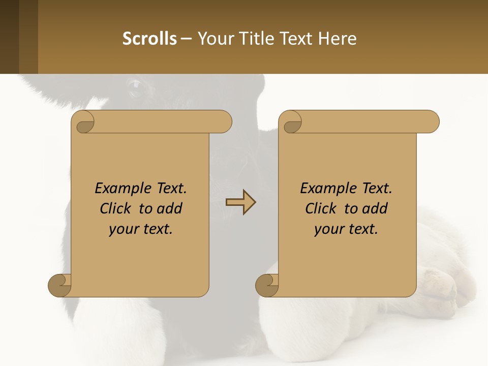 A Black And White Cow Laying Down On A White Background PowerPoint Template