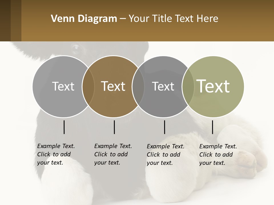A Black And White Cow Laying Down On A White Background PowerPoint Template