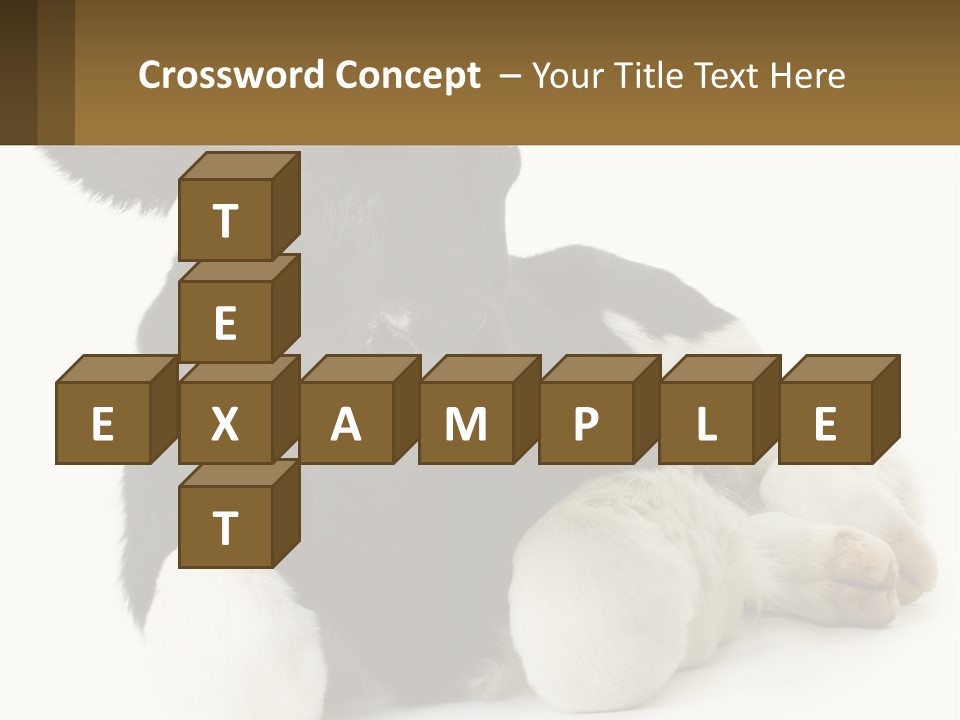 A Black And White Cow Laying Down On A White Background PowerPoint Template