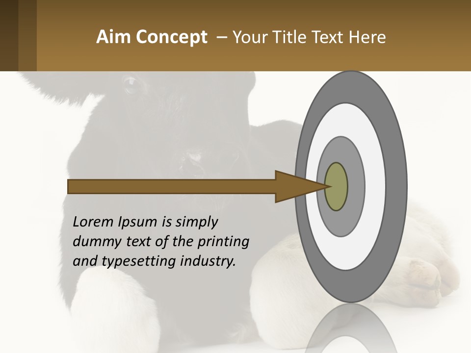 A Black And White Cow Laying Down On A White Background PowerPoint Template