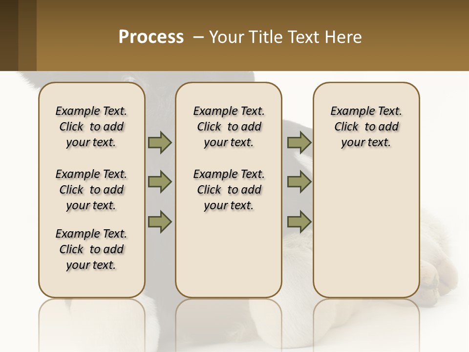 A Black And White Cow Laying Down On A White Background PowerPoint Template