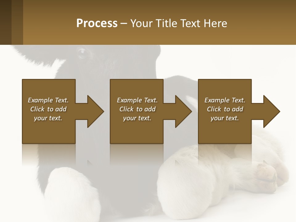 A Black And White Cow Laying Down On A White Background PowerPoint Template