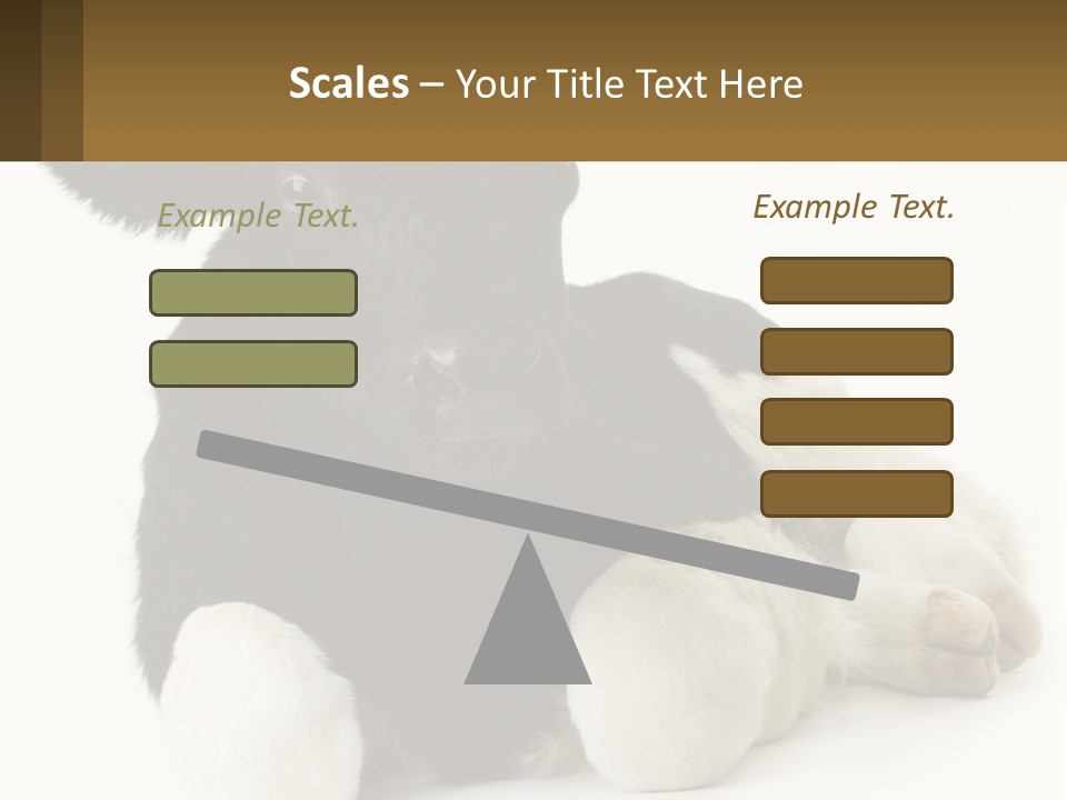 A Black And White Cow Laying Down On A White Background PowerPoint Template