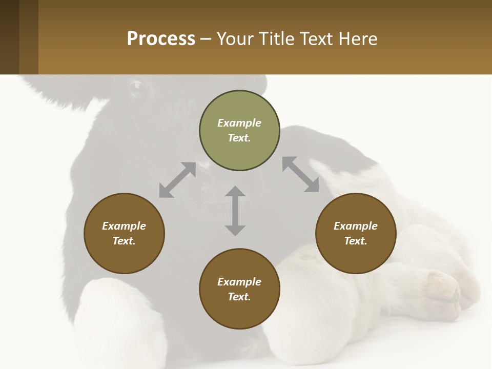 A Black And White Cow Laying Down On A White Background PowerPoint Template