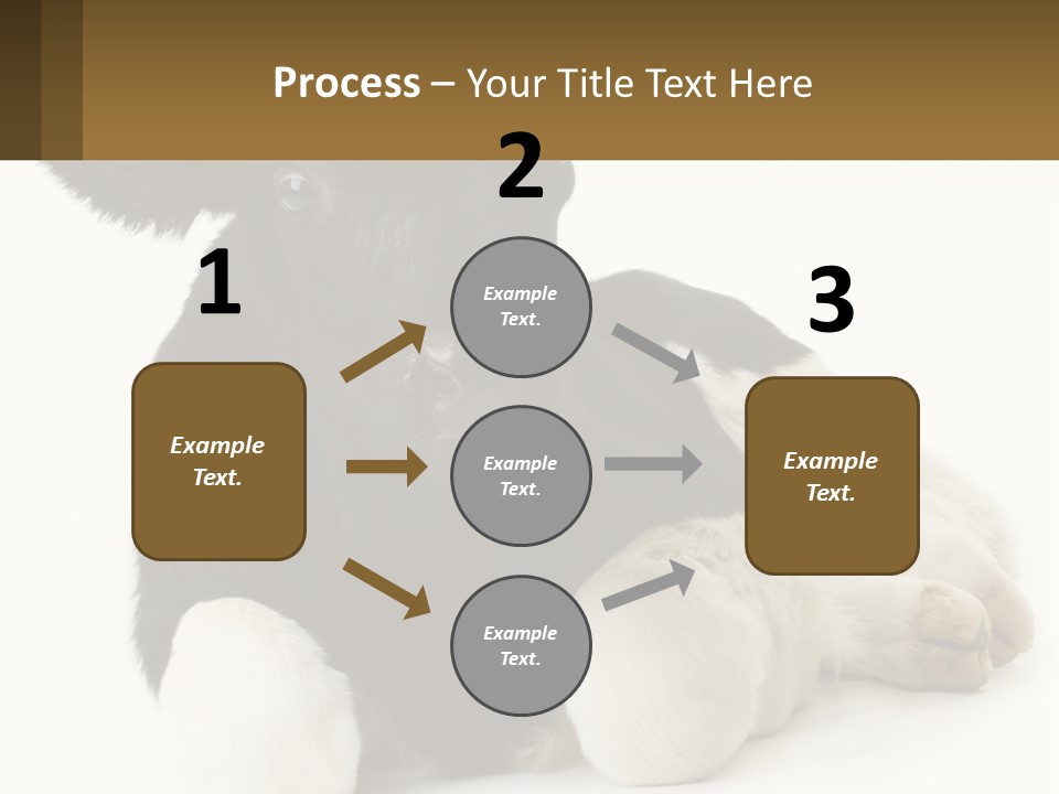 A Black And White Cow Laying Down On A White Background PowerPoint Template