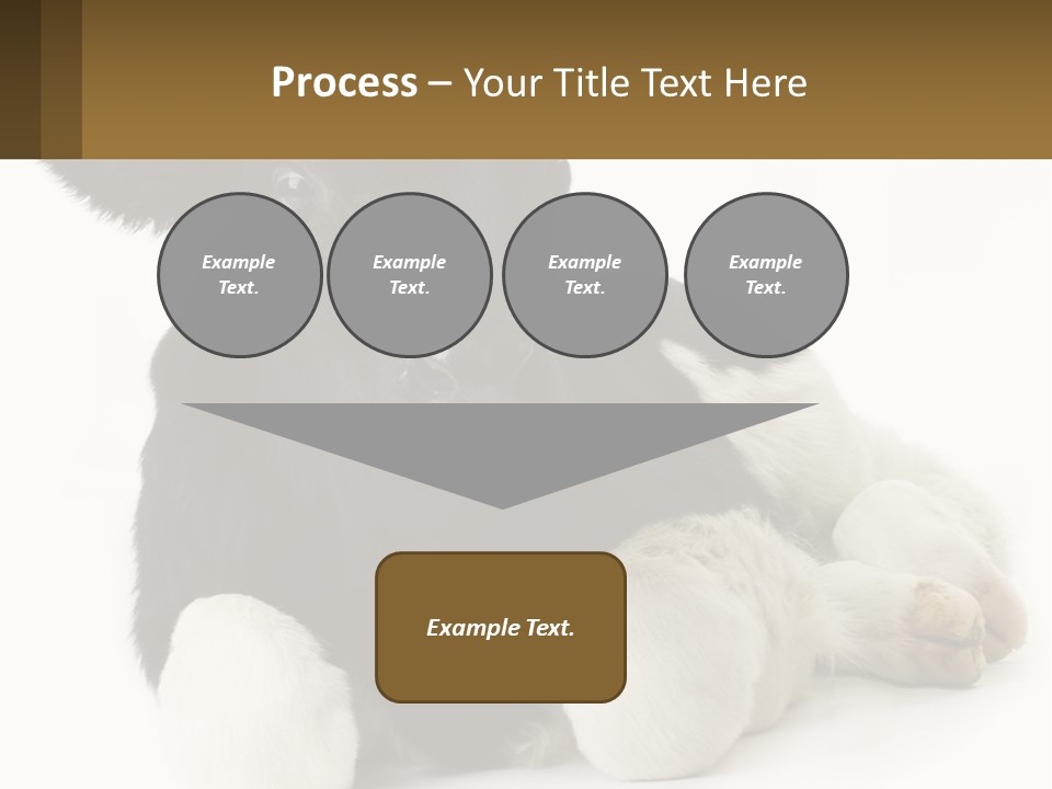 A Black And White Cow Laying Down On A White Background PowerPoint Template