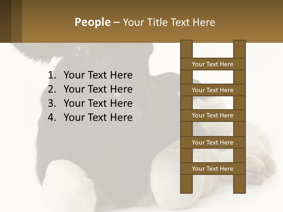 A Black And White Cow Laying Down On A White Background PowerPoint Template