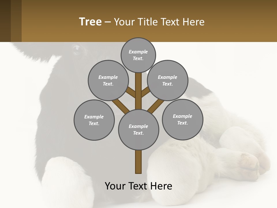 A Black And White Cow Laying Down On A White Background PowerPoint Template