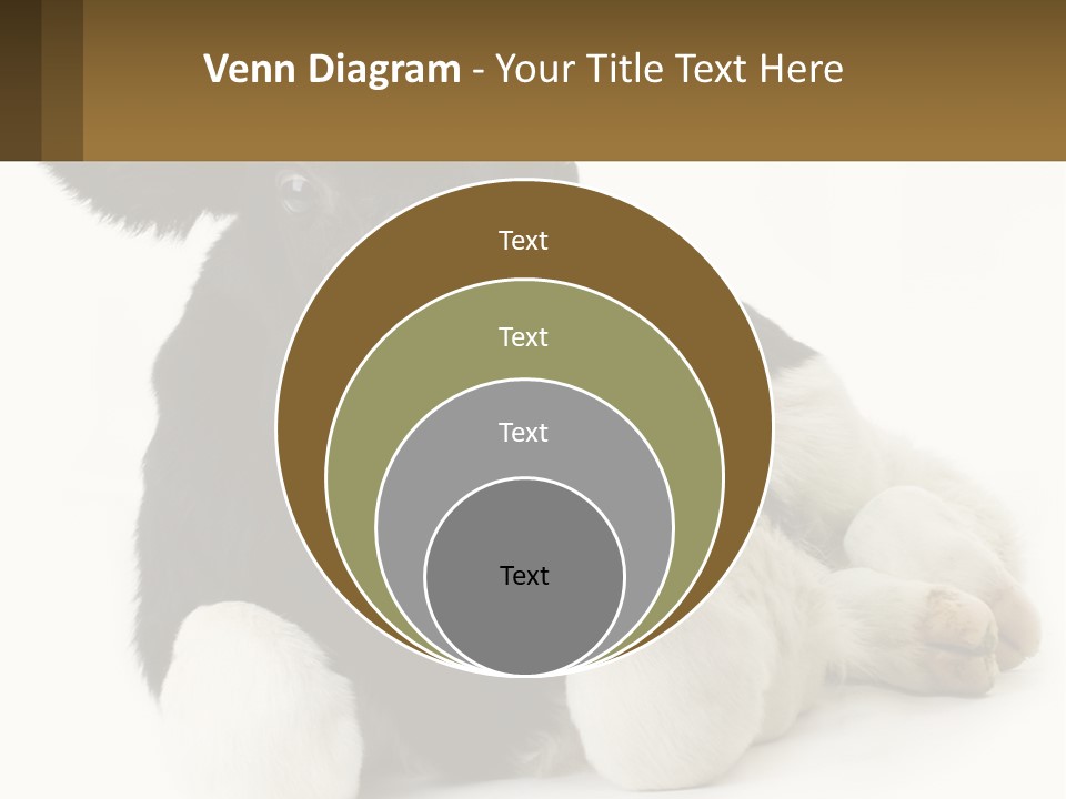 A Black And White Cow Laying Down On A White Background PowerPoint Template