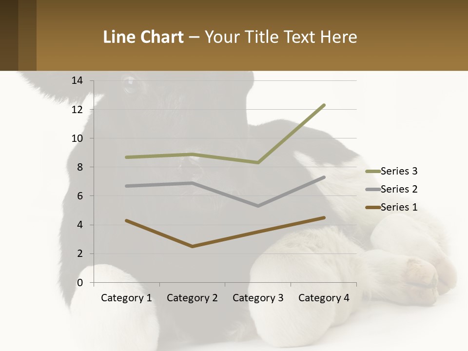 A Black And White Cow Laying Down On A White Background PowerPoint Template
