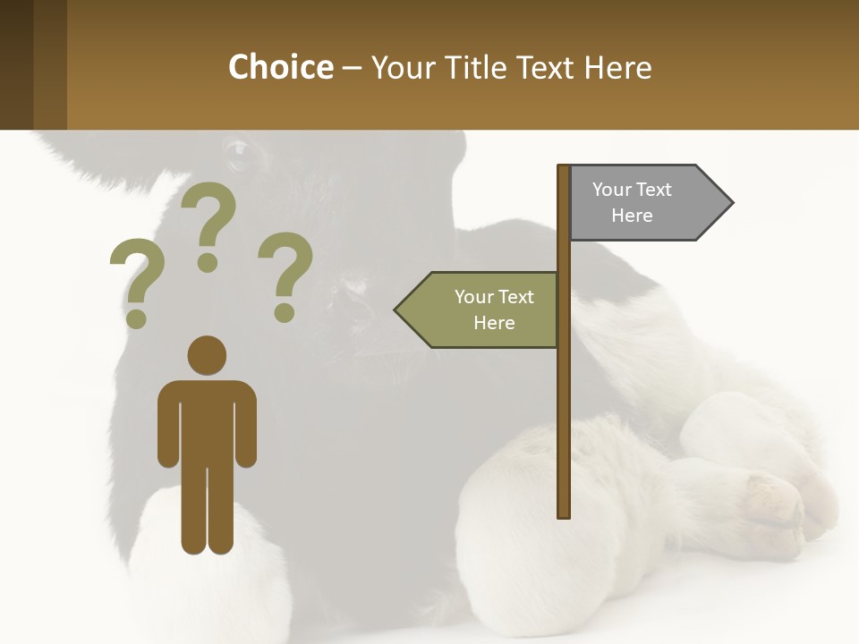 A Black And White Cow Laying Down On A White Background PowerPoint Template