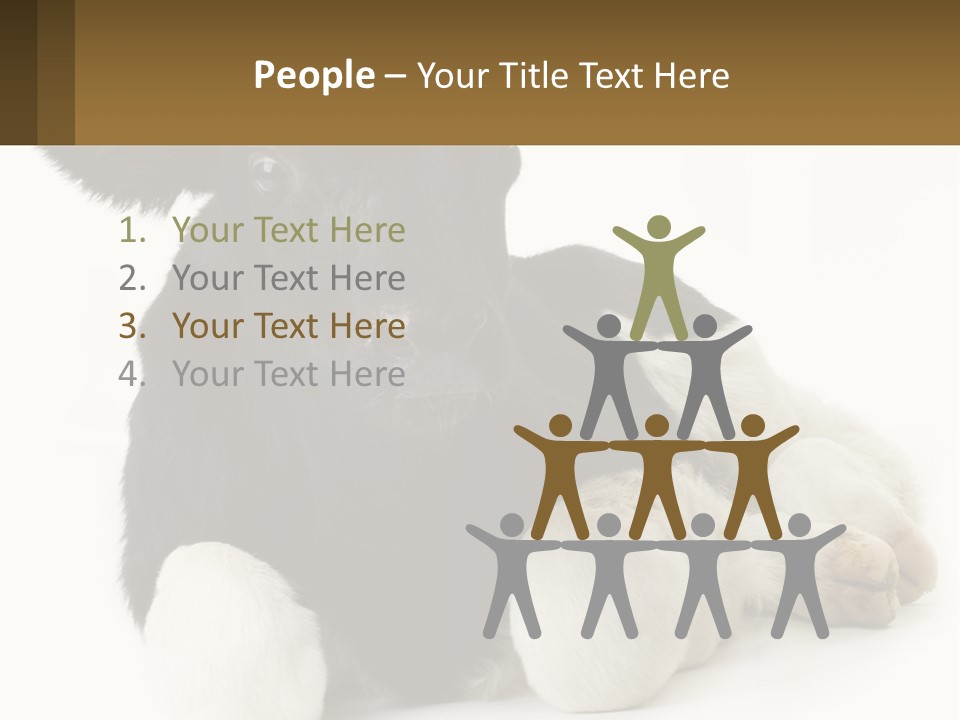 A Black And White Cow Laying Down On A White Background PowerPoint Template