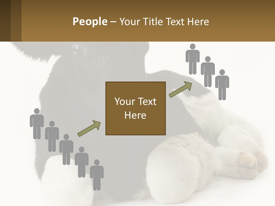 A Black And White Cow Laying Down On A White Background PowerPoint Template