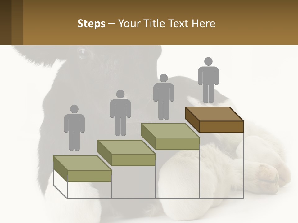 A Black And White Cow Laying Down On A White Background PowerPoint Template