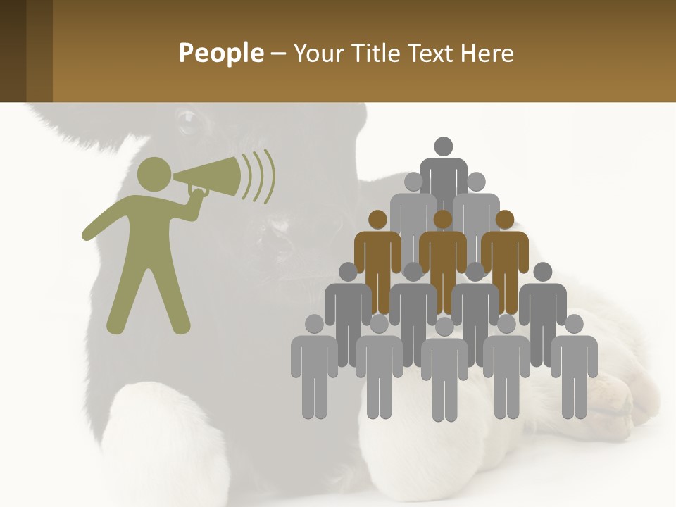 A Black And White Cow Laying Down On A White Background PowerPoint Template