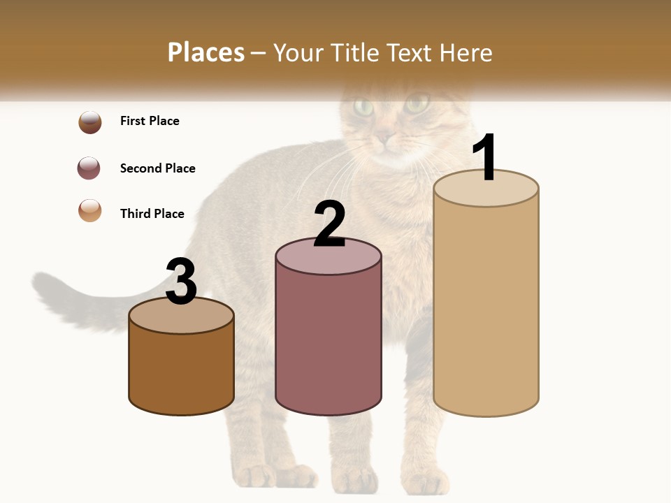 A Cat Standing On Top Of A White Surface PowerPoint Template