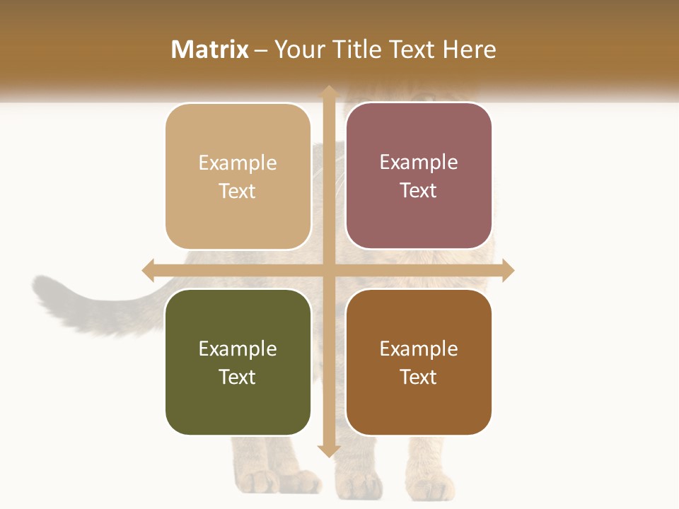 A Cat Standing On Top Of A White Surface PowerPoint Template