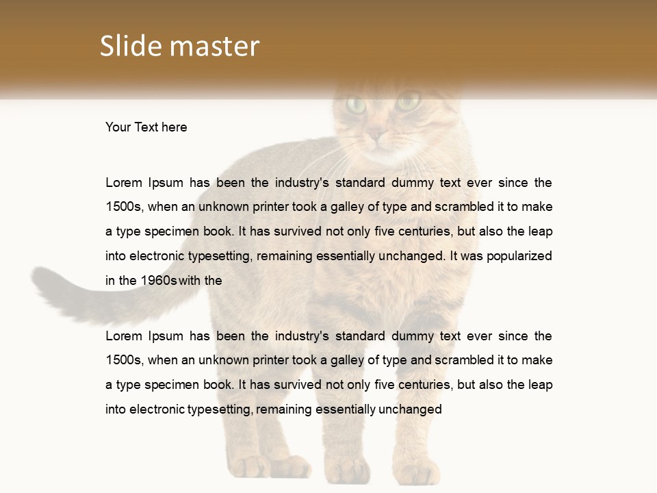 A Cat Standing On Top Of A White Surface PowerPoint Template