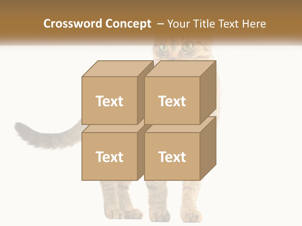 A Cat Standing On Top Of A White Surface PowerPoint Template