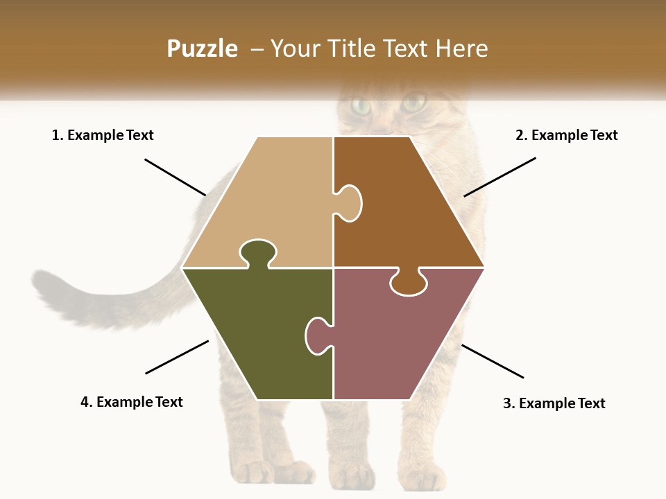 A Cat Standing On Top Of A White Surface PowerPoint Template