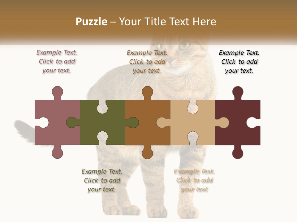 A Cat Standing On Top Of A White Surface PowerPoint Template