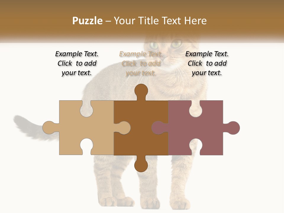 A Cat Standing On Top Of A White Surface PowerPoint Template