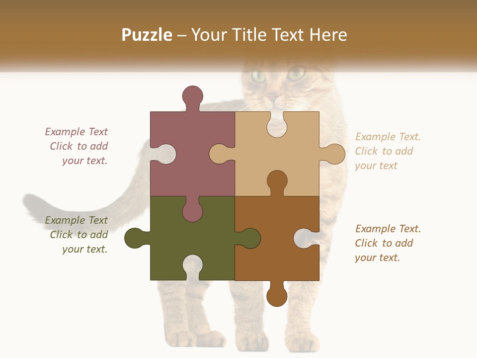 A Cat Standing On Top Of A White Surface PowerPoint Template