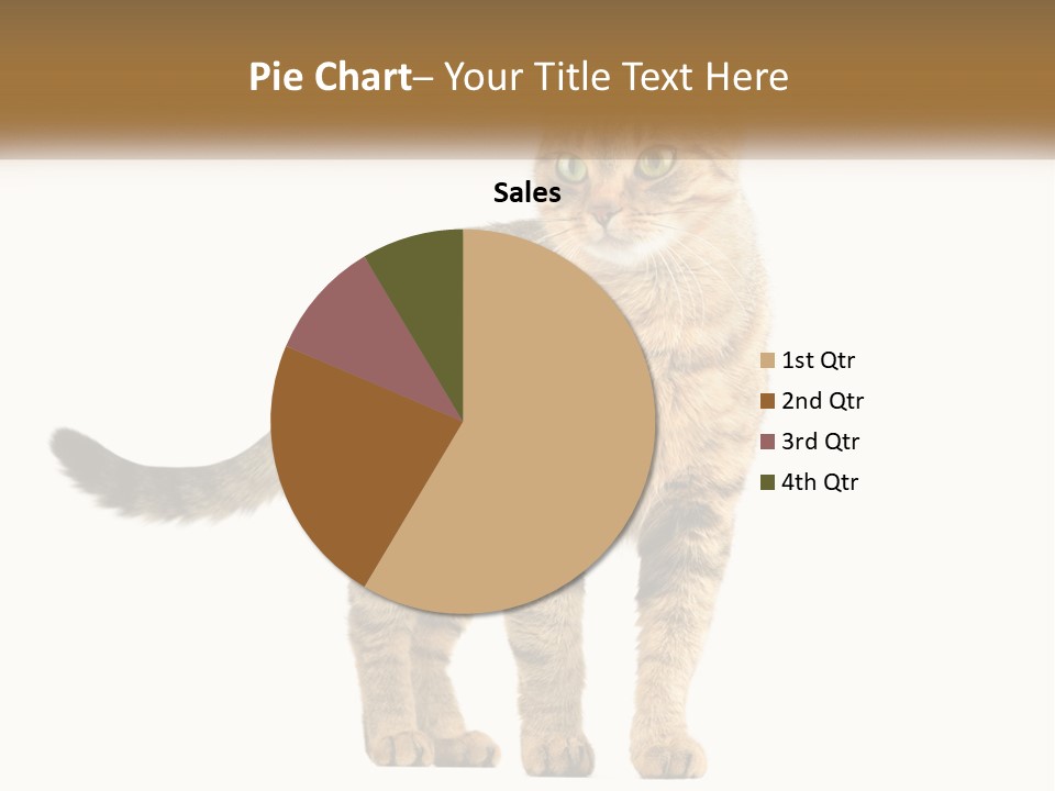 A Cat Standing On Top Of A White Surface PowerPoint Template