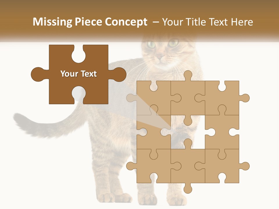 A Cat Standing On Top Of A White Surface PowerPoint Template