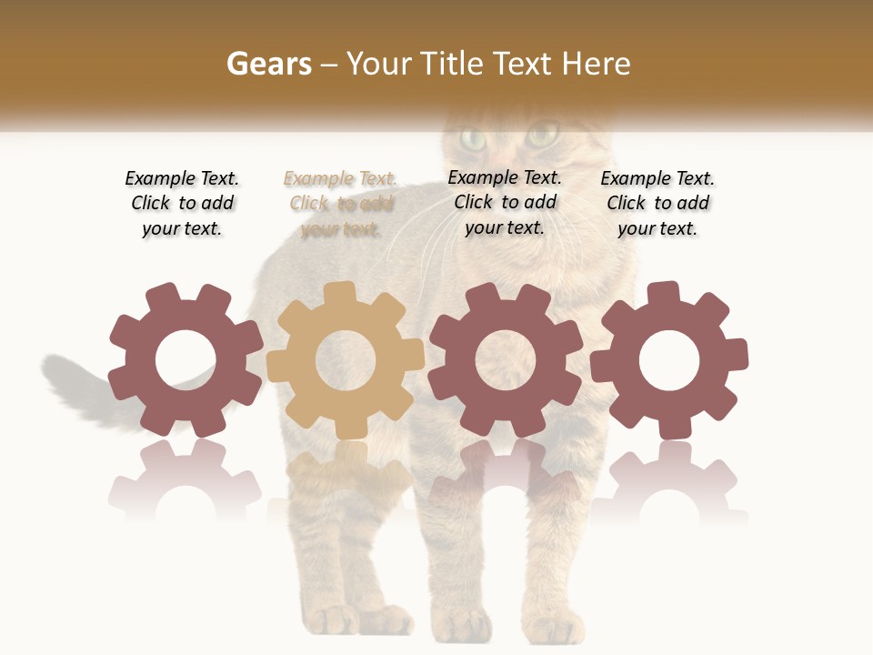 A Cat Standing On Top Of A White Surface PowerPoint Template