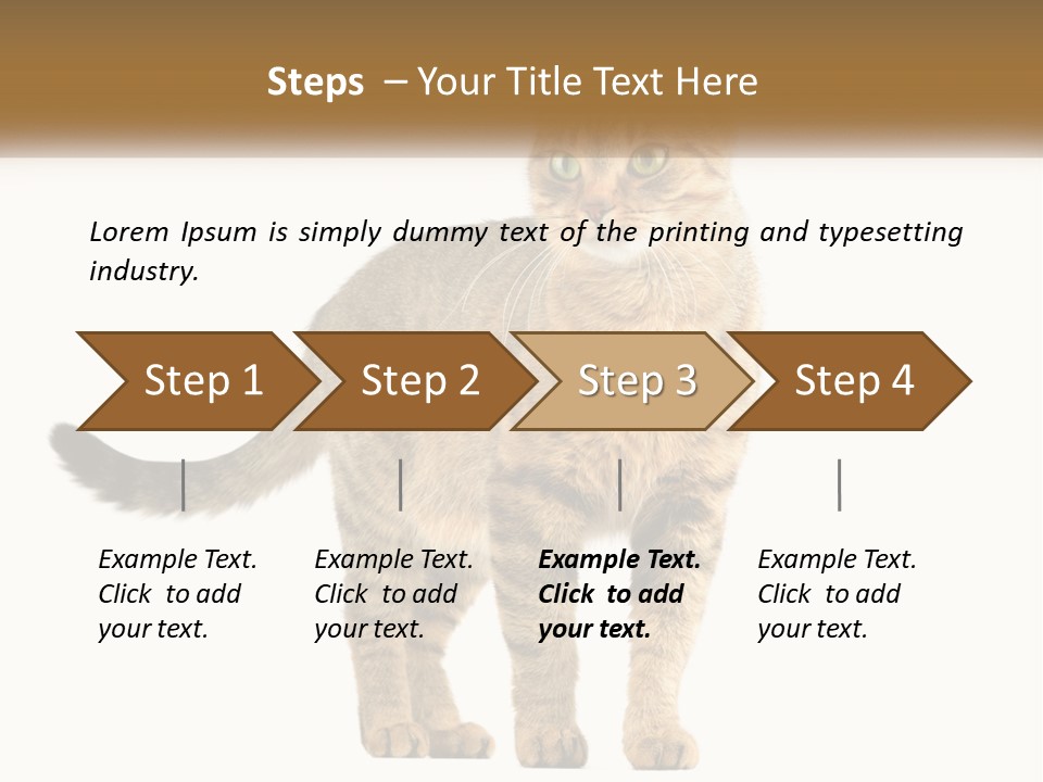 A Cat Standing On Top Of A White Surface PowerPoint Template